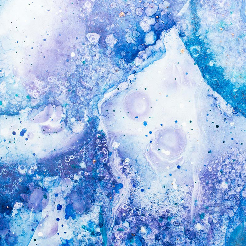 Wisteria IV | 2016 Celeste Wrona | Limited Edition Print