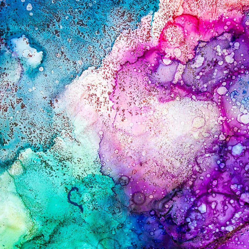 In Bloom III | 2016 Celeste Wrona | Limited Edition Print