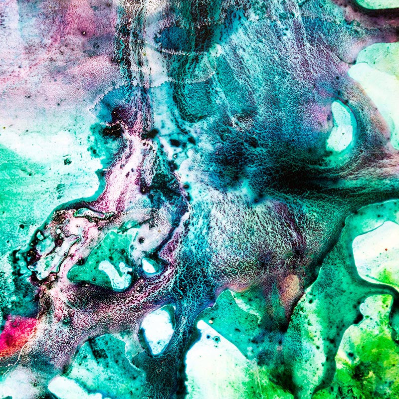 Pandora X | 2016 Celeste Wrona | Limited Edition Print