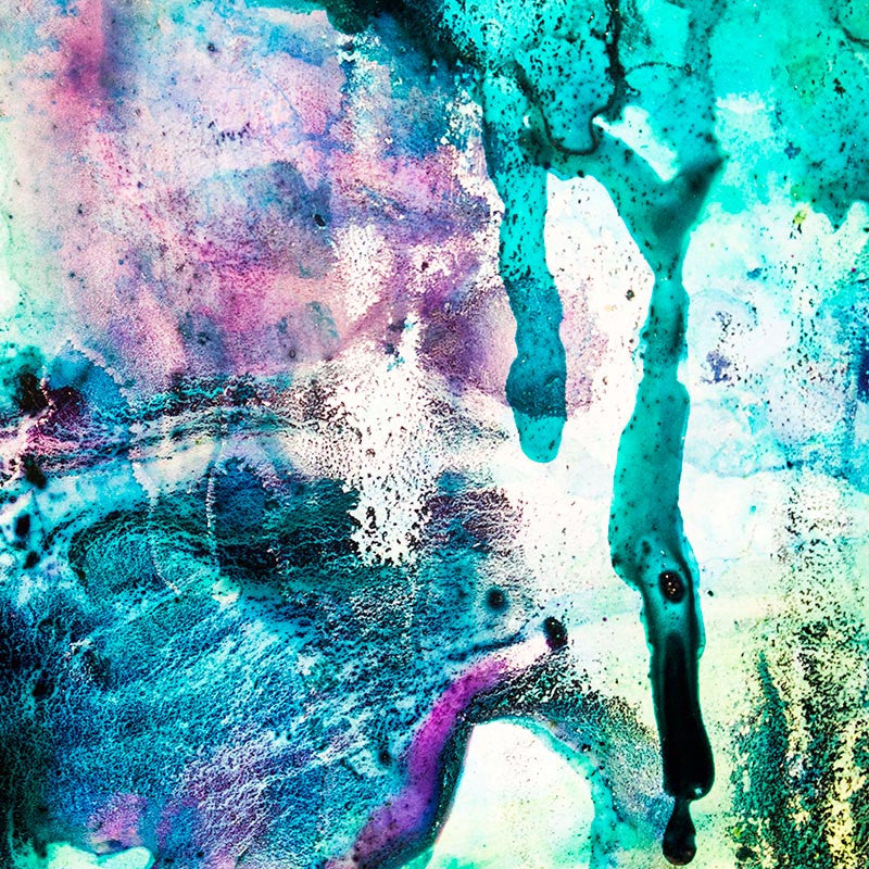 Pandora XIII | 2016 Celeste Wrona | Limited Edition Print